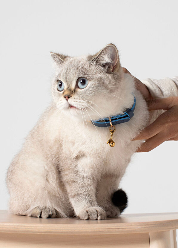 Zoe Pet Atelier Navy Blue Leather Cat Collar - 3