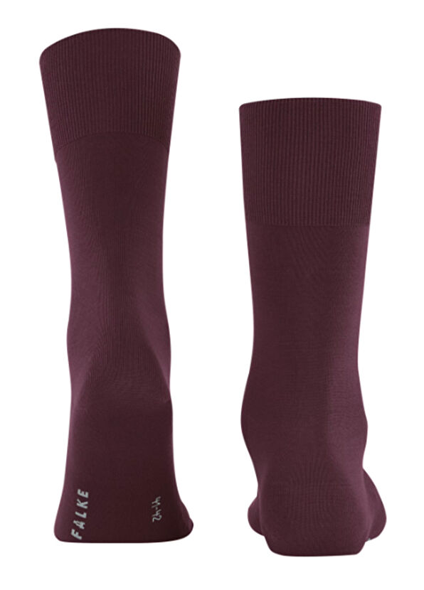 Falke Clima Wool Bordo Erkek Çorap - 2
