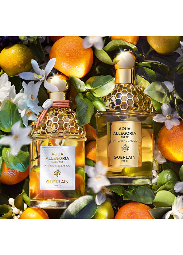 Guerlain Aqua Mandarine Basilic Harvest EDT 125 ml Parfüm - 4