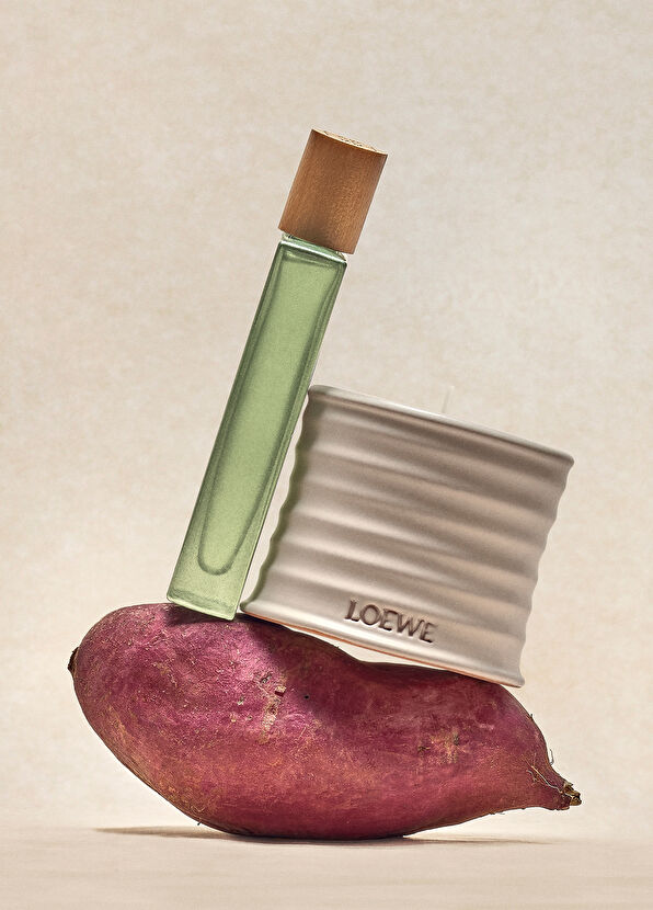 Loewe Oregano 170 gr Mum - 4