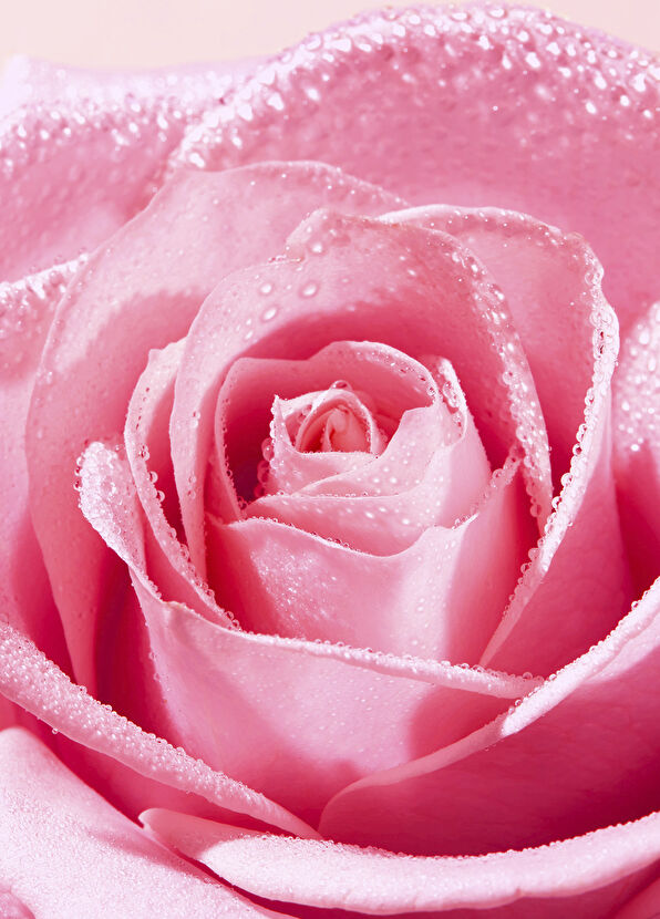 Nuxe Very Rose Yatıştırıcı Yüz Temizleme Jeli 150 ml - 4