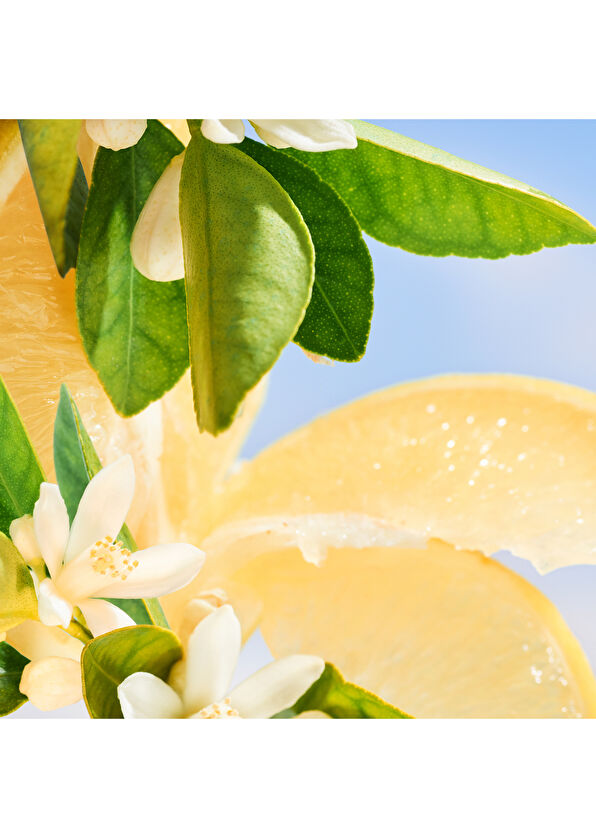 Bvlgari Allegra Riva Solare EDP 100ml - 4