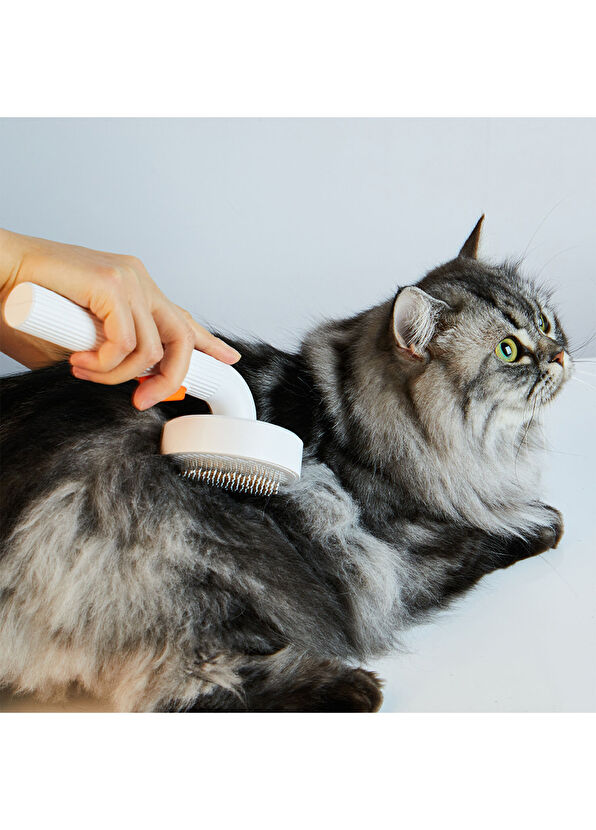 Petkit Tüy Toplayıcı Beyaz Tarak  - 3