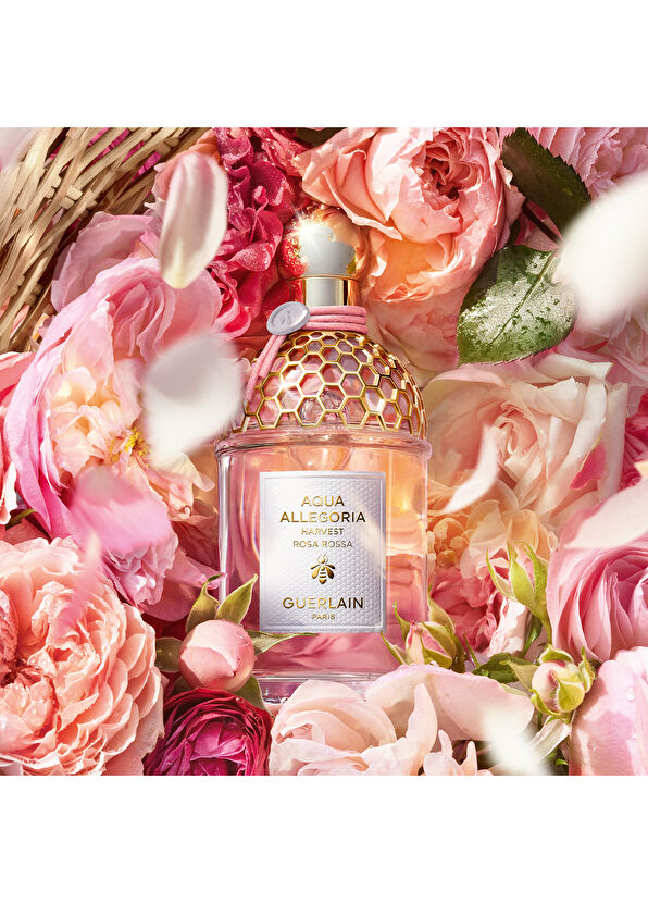 Guerlain Aqua Rosa Rossa Harvest EDT 125 ml Kadın Parfüm - 2