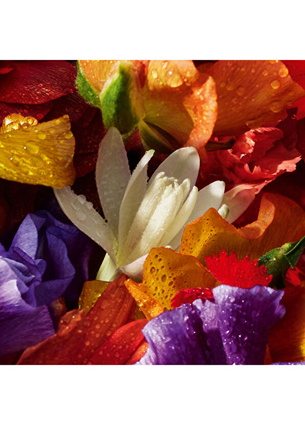 Guerlain Aqua Allegoria Flora Bloom EDP 75 ml Kadın Parfüm - 4