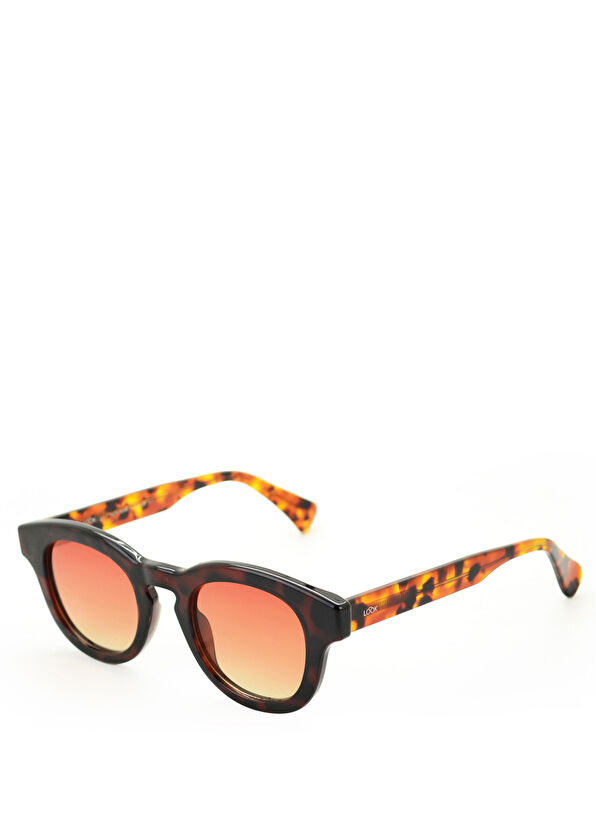 Looklight Pinus Chocolate Unisex Güneş Gözlüğü - 1