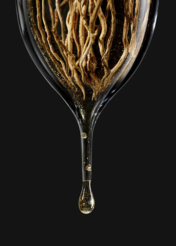 Giorgio Armani Armani/Privé Noir Kogane EDP 100ml - 4