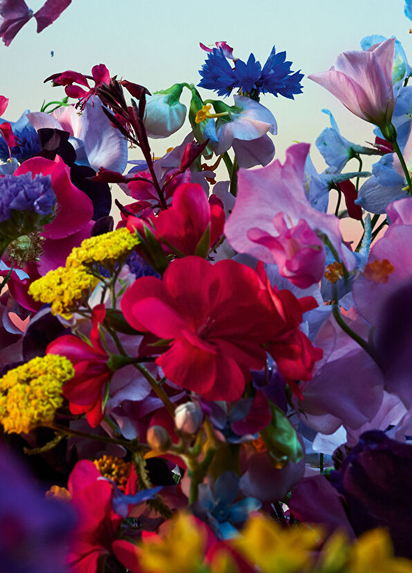 Guerlain Bloom EDP 125 ml - 2