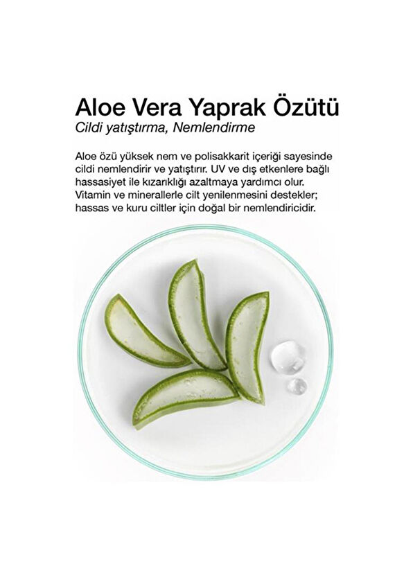 Dermal Aloe Kuru ve Yorgun Ciltler İçin Nemlendirici ve Canlandırıcı Kore Maskesi 23 gr 5 Adet - 2