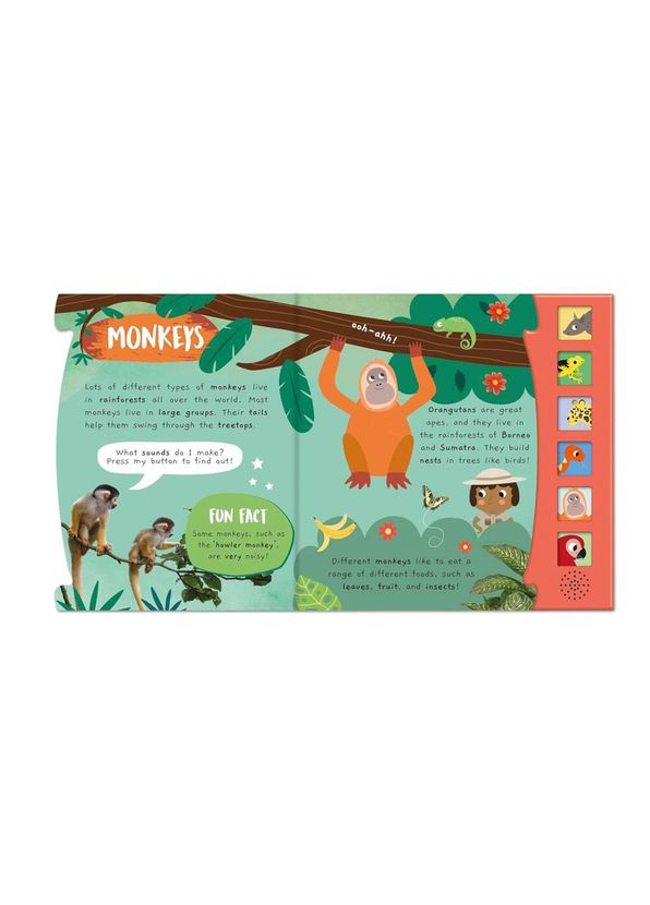 North Parade Publishing - Noisy Rainforest Little Wonders Sound Book ...