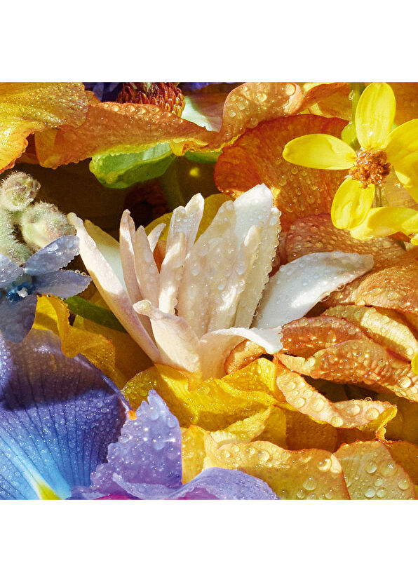 Guerlain Aqua Allegoria Flora Bloom EDT 75 ml Kadın Parfüm - 4