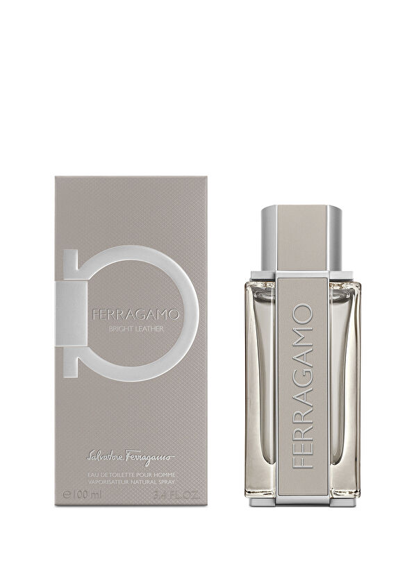 Ferragamo Bright Leather Men EDT 100 ml Men's Perfume - 2