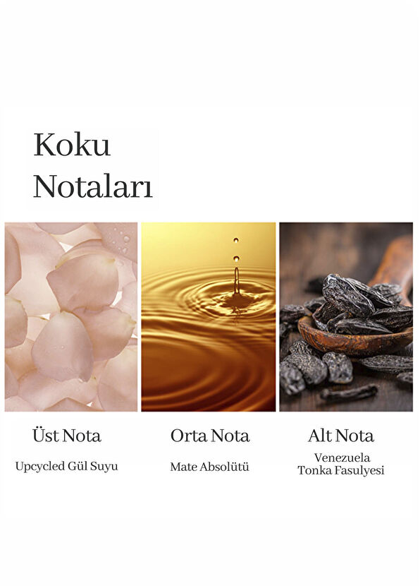 Elizabeth Arden White Tea EDP 100 ml Women's Spray Perfume - 3