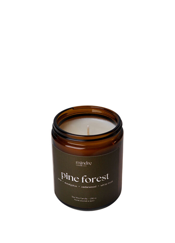 Mindre Candle Co. Amber Series Pine Forest Scented Soy Candle 250 ml - 1