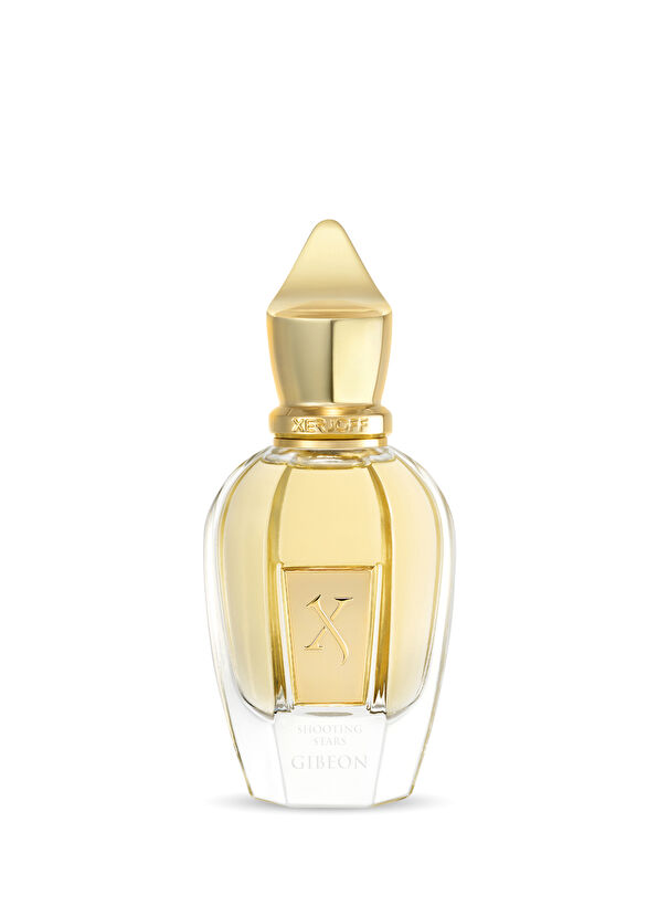 Xerjoff XERJOFF SS Gibeon 50 ml - 2