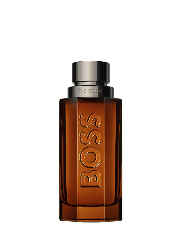 Hugo Boss The Scent EDP Intense 100 ml Men's Perfume - 1
