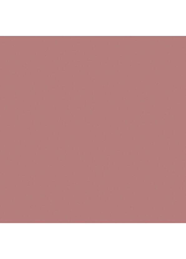 Naj Oleari Perfect Trace Lip Pencil Rosy Beige 01 Pembe Nude Dudak Kalemi - 4