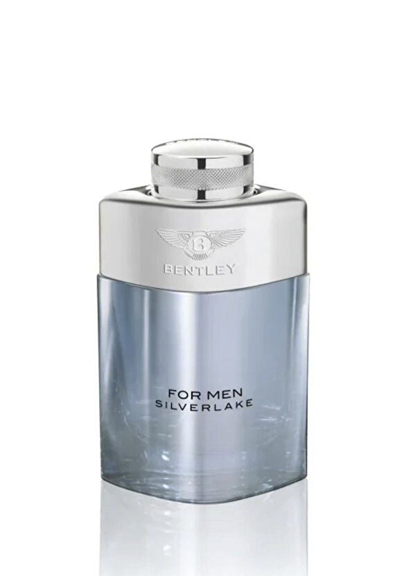 Bentley For Men Silverlake EDP 100 ml Erkek Parfüm - 2
