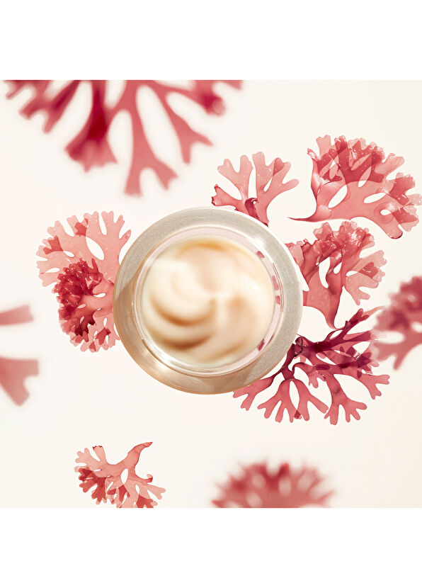 Shiseido Benefiance WrInkle SmoothIng Cream 50 ml - 3