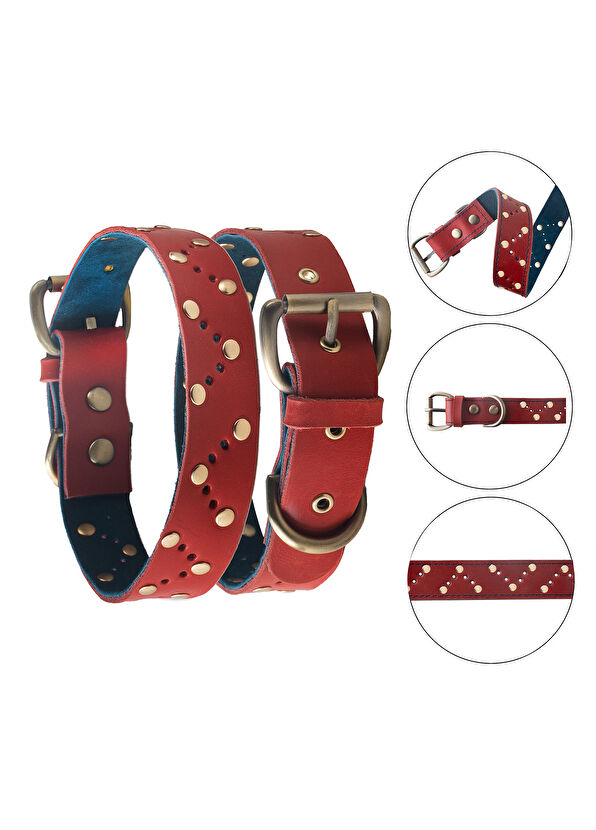 Zeynep Birinci Genuine Leather Dog Neck Collar - 2