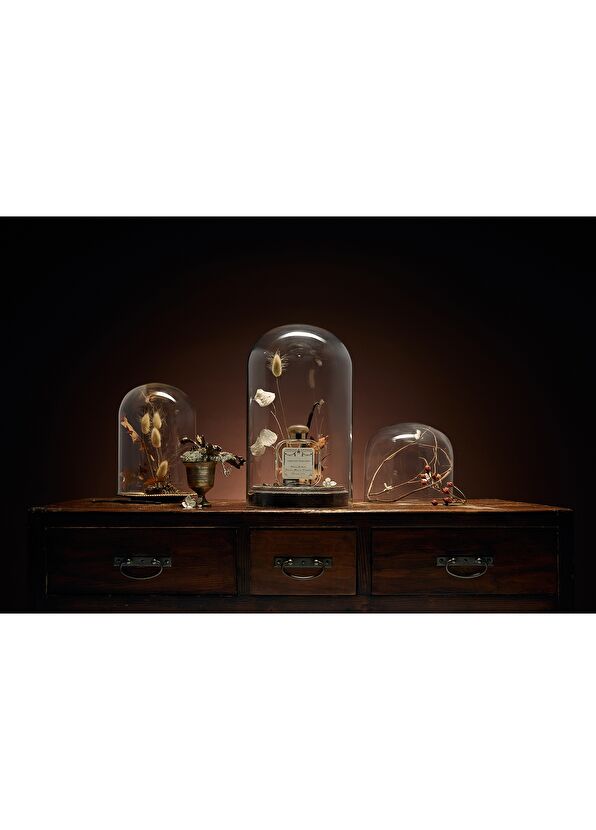 Santa Maria Novella Tabacco Toscano Eau de Cologne, Unisex, 100 ml - 3