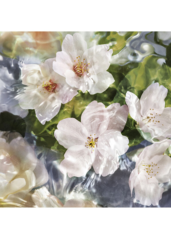 Guerlain Aqua Allegoria Flora Cherrysia EDT 75ml Parfüm - 2