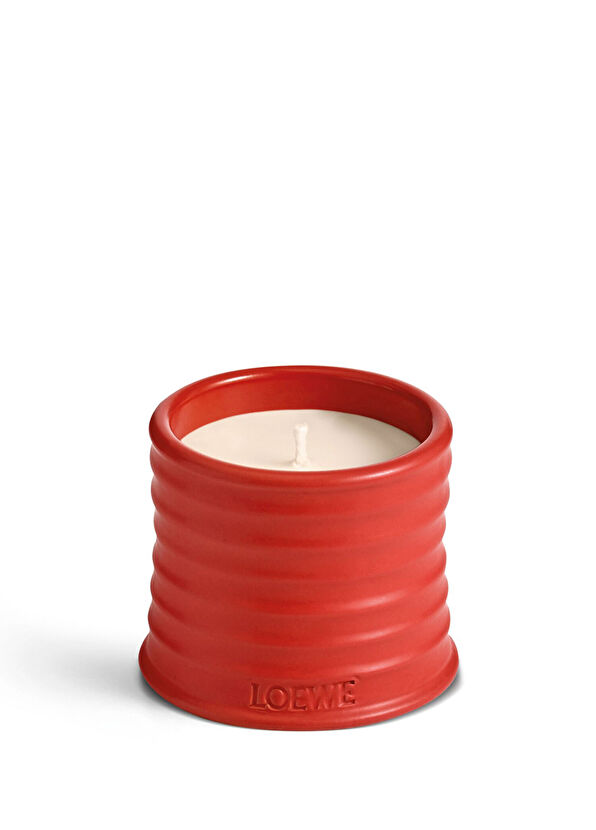 Loewe Tomato Leaves 170 gr Mum - 1