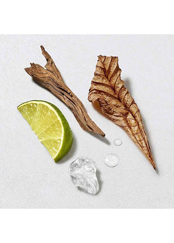 Giorgio Armani Acqua Di Gio Edt 150 Ml Refill Men's Perfume - 2