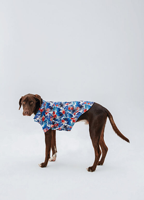 Hypet Fashion Hawaii Pamuklu Köpek Gömlek - 3