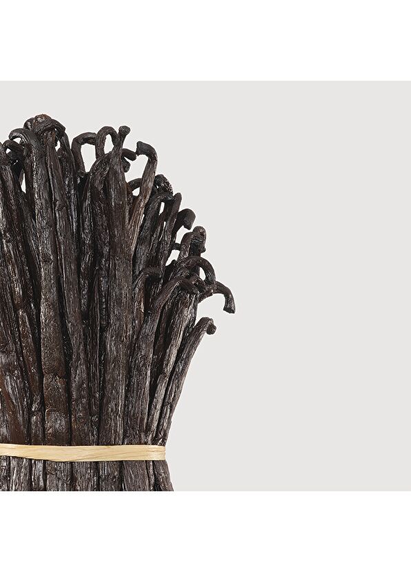 Matiere Premiere Vanilla Powder Extrait 100 ml Unisex Parfüm - 4