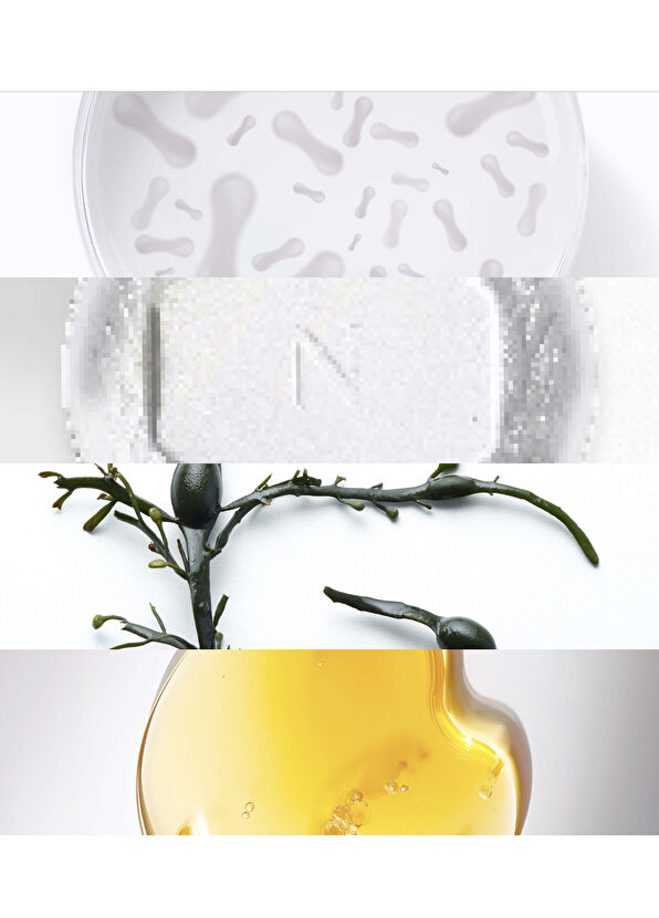 Noble Panacea Brilliant Radiant Resilience Moisturizer Refill - 3