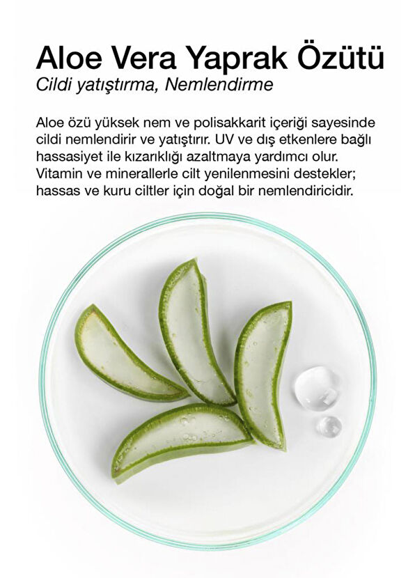 Dermal Aloe Mask Kuru ve Yorgun Ciltler İçin Nemlendirici ve Canlandırıcı Aloe Kore Maskesi 23 gr - 2