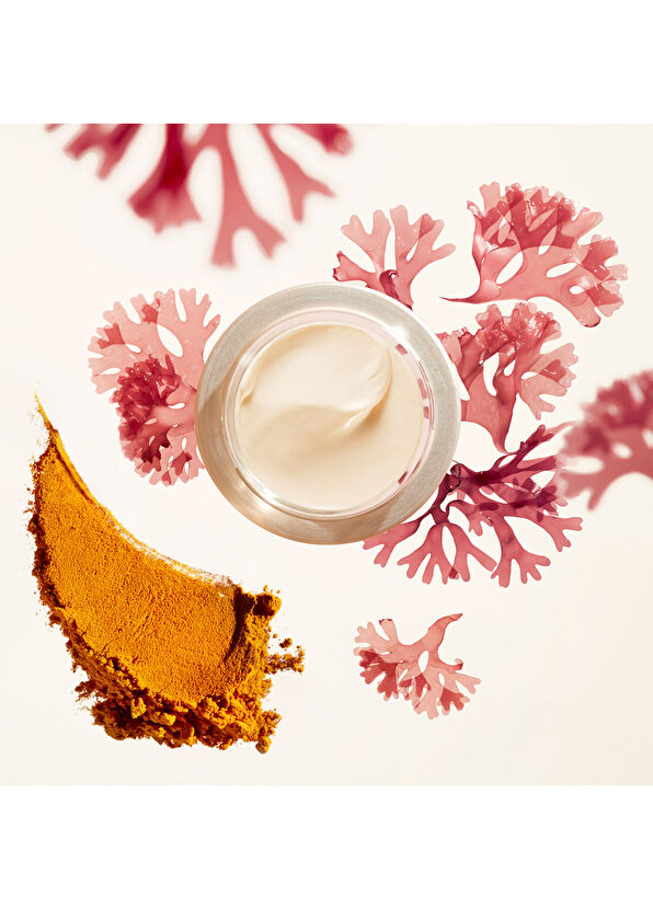 Shiseido Benefiance Wrinkle Smoothing Day Cream 50 ml - 3