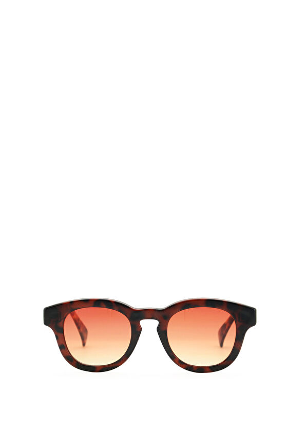 Looklight Pinus Chocolate Unisex Güneş Gözlüğü - 2