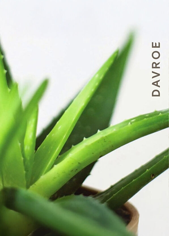 Davroe Smooth Senses Anti-Frizz Anti-Frizz Shampoo 325 ml - 2