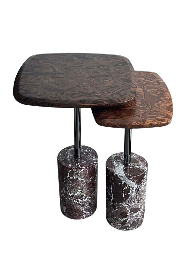 Lucenti Design Nest Marble Marble Leg Root Veneer 2-Piece Side Table Set - 2