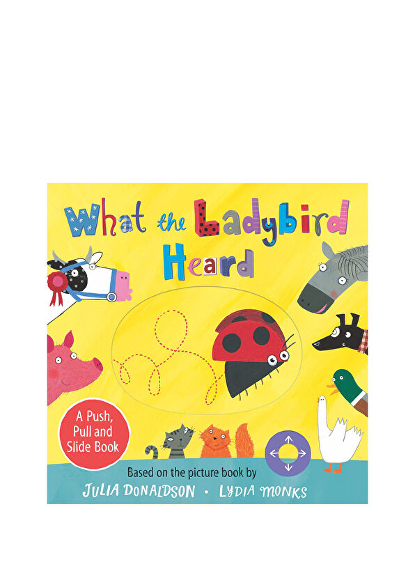 Pan Macmillan What The Ladybird Heard A Push Pull and Slide Book - 2