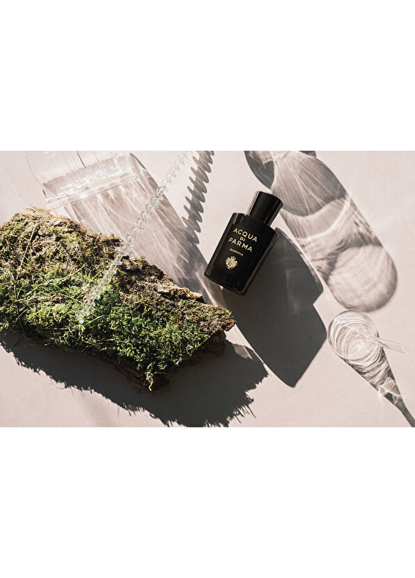 Acqua di Parma Sigrnature Sandalo EDP 180 ml Parfüm - 3