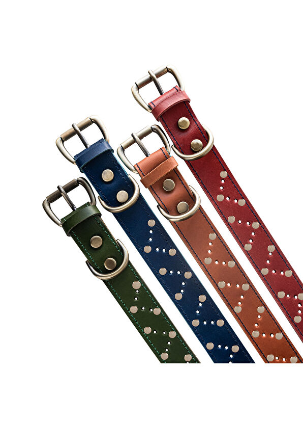 Zeynep Birinci Lacivert Deri Köpek Boyun Tasması - 4