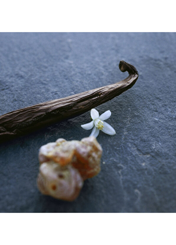 Chloe Nomade Nuit d'Egypte EDP 50 ml Kadın Parfüm - 4