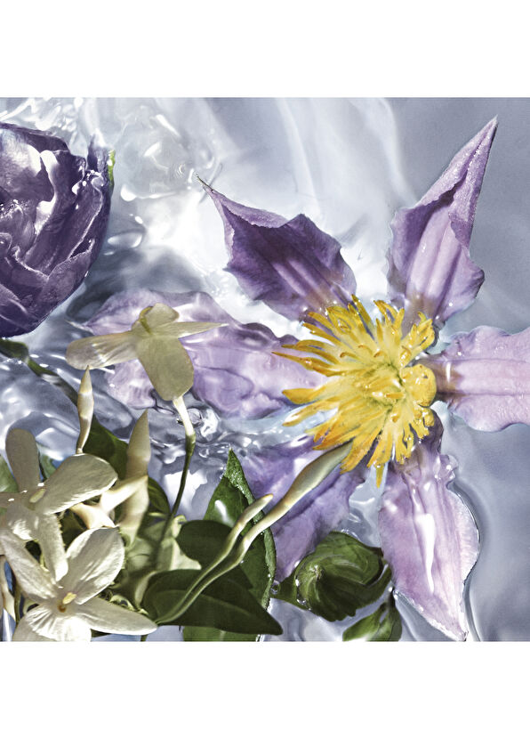 Guerlain Aqua Allegoria Flora Salvaggia EDT 75 ml Parfüm - 2