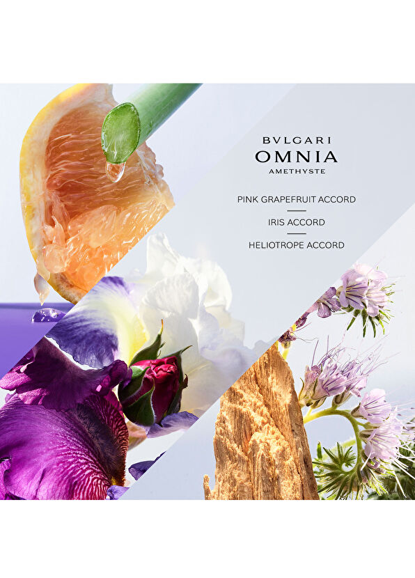 Bvlgari Omnia Amethyste EDT 50 ml - 3
