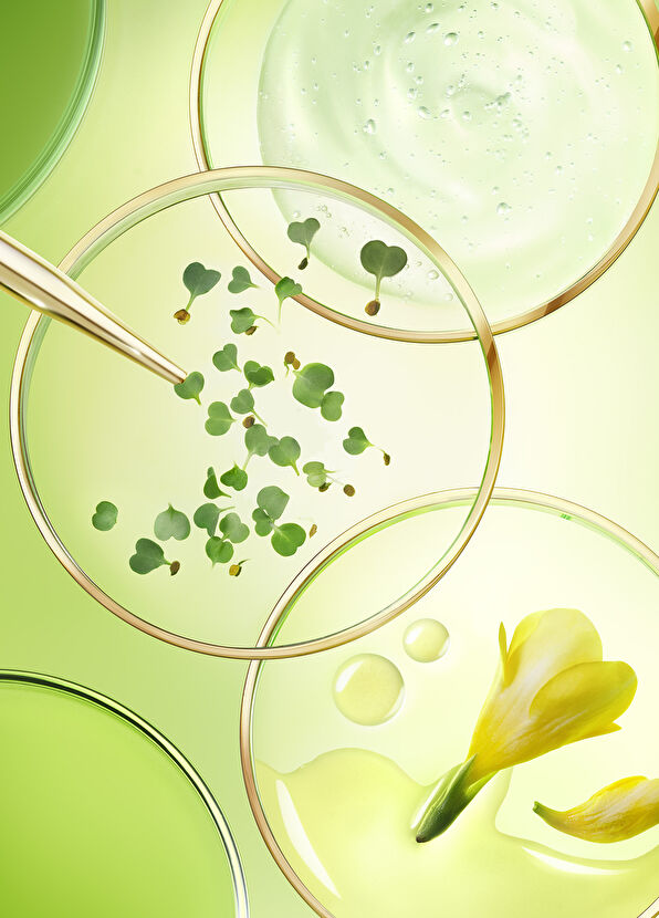 Nuxe Nuxuriance Yoığum Bakım Yaşlanma Karşıtı Yüz Kremi - 3