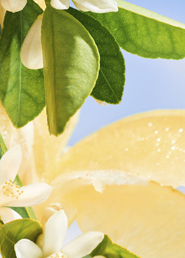 Bvlgari Allegra Riva Solare EDP 100ml - 2