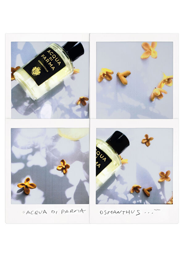 Acqua di Parma Signature Osmanthus EDP 100 ml Parfüm - 3