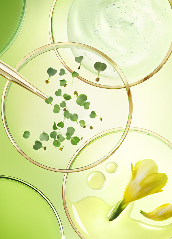 Nuxe Nuxuriance Ultra Anti-Aging Eye and Lip Care Cream 15 ml + Anti-Aging Face Cream 15 ml Set of 2 - 4