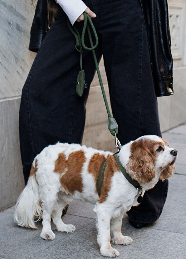 Zoe Pet Atelier Khaki Leather Cross Dog Harness - 2