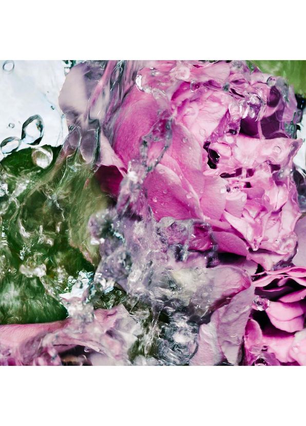 BYREDO Rose El Losyonu 450 ml - 2
