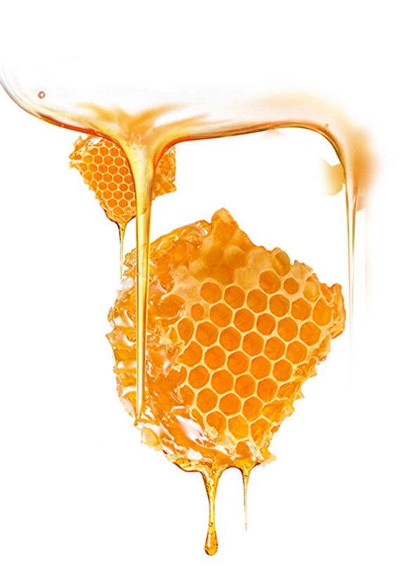Foreo Ufo™ Manuka Honey Revitalizing 6-Pack Active Mask - 3