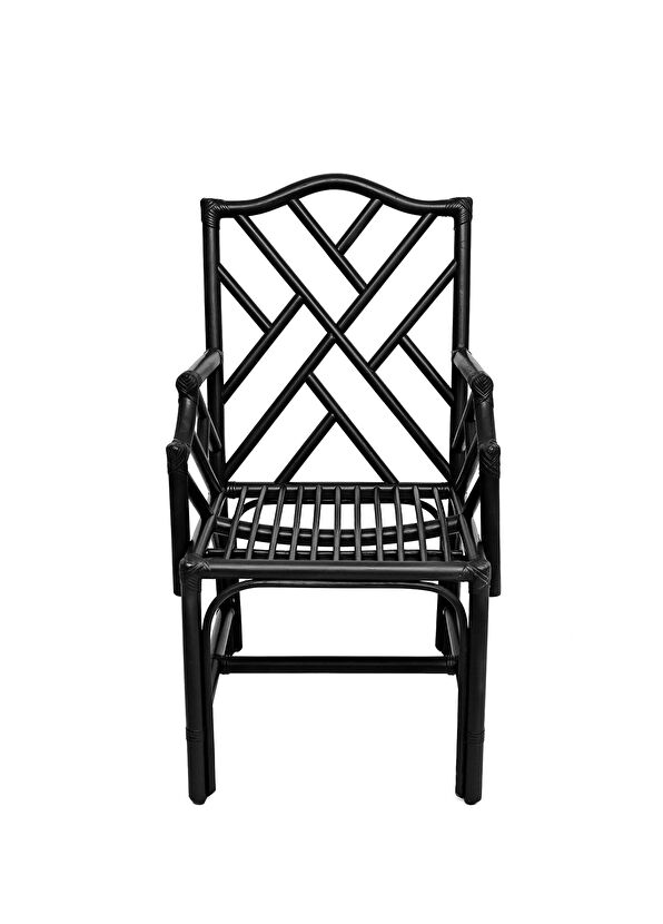 Bee Interiors Classy Bamboo Tree Black Armchair - 3